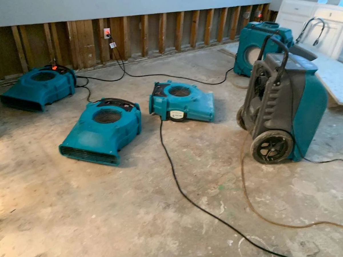 Water Damage Restoration services in Bethel, AK